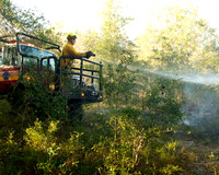 January 15th, Brush Fire