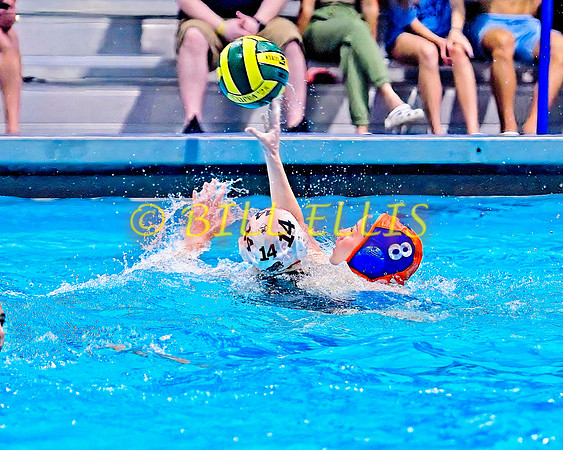 20230303 Supra Tourney 1101