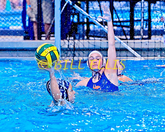 20230304 Supra Tourney 3079