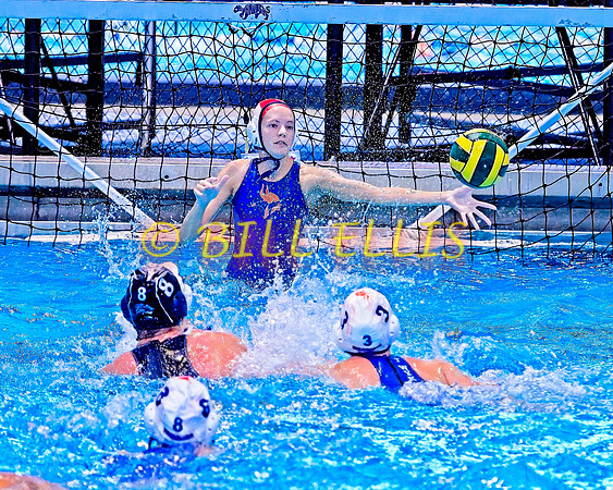 20230304 Supra Tourney 3146