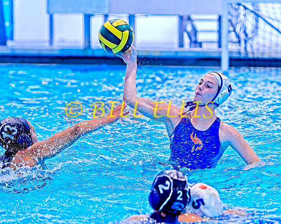 20230304 Supra Tourney 3367