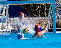 vs Gainesville