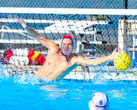 vs Windermere